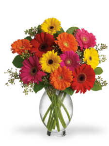 Bouquet di gerbere colorate