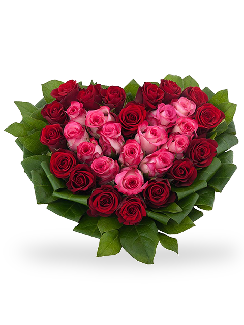 Cuore di Rose rosse e Rose rosa contornate da foglie verdi
