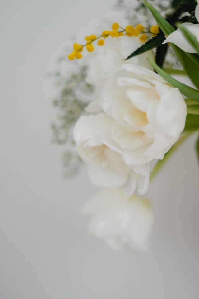 i fiori per san valentino