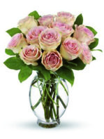 12 rose rosa chiaro.