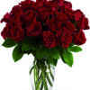 24 rose rosse