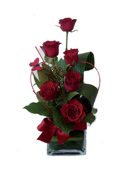 6 rose rosse