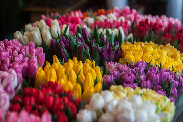 fiori per anniversario