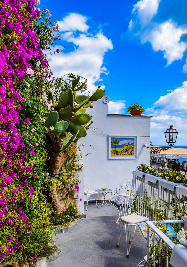 fiori da balcone