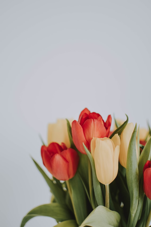 fiori da regalare ad un uomo