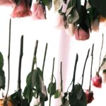 come essiccare i fiori