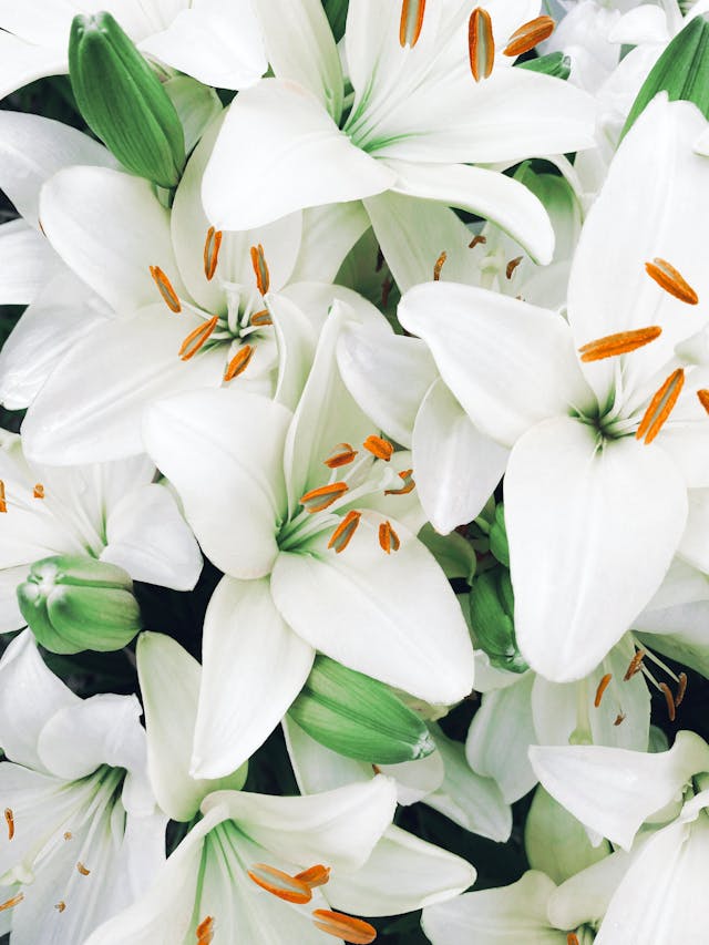bouquet di fiori per chiedere scusa
