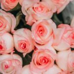 composizioni floreali