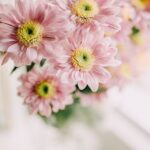 fiori a domicilio per onomastico