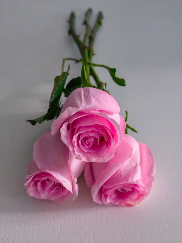 fiori per i gusti di mia madre