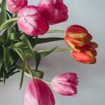 cosa fiorisce in estate