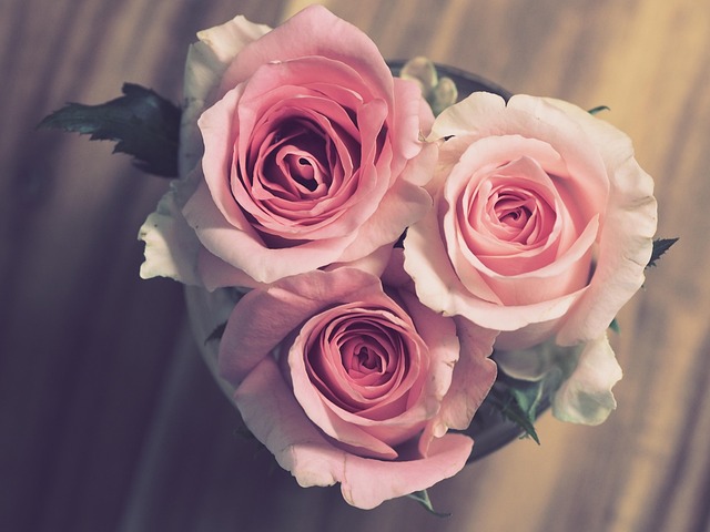 regalare fiori
