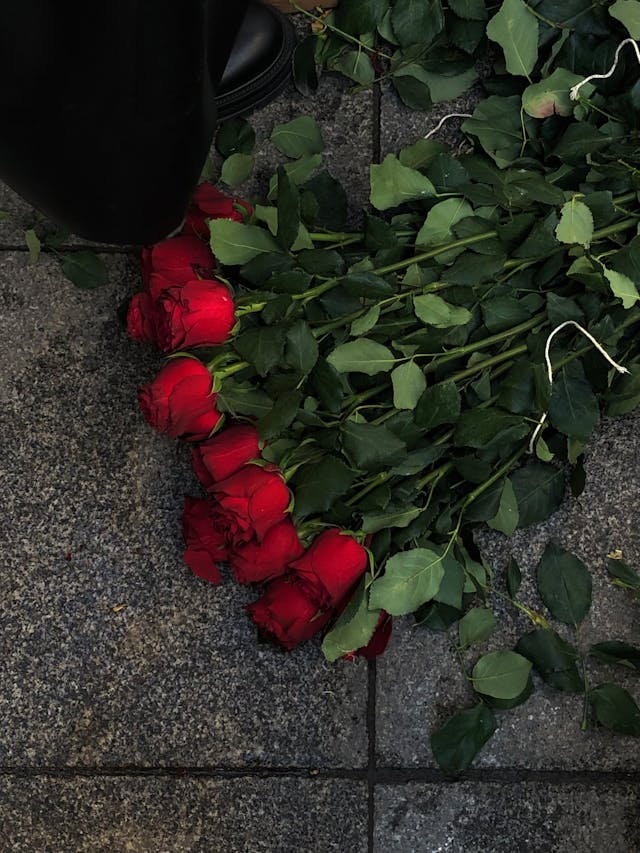 rose rosse
